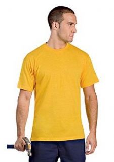 T-shirt uomo girocollo , colorata, manica corta, HANES